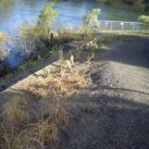 2008. Below Kauri Grove just planted. Cambridge Tree Trust